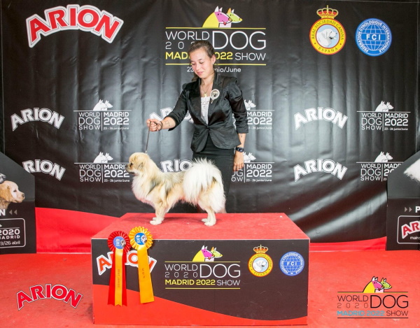 Photo World Winner Junior 2022 Madrid Keon Web